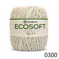 ER_ecoSoft4_0300