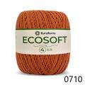 ER_ecoSoft4_0710