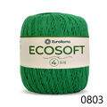 ER_ecoSoft4_0803