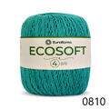 ER_ecoSoft4_0810