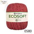 ER_ecosoft6_23_0580