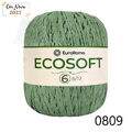 ER_ecosoft6_23_0809