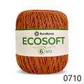 ER_ecosoft6_ER_0710