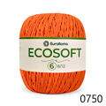ER_ecosoft6_ER_0750
