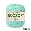 ER_ecosoft6_ER_0800