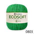 ER_ecosoft6_ER_0803