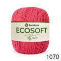 ER_ecosoft6_ER_1070