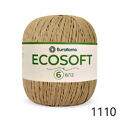 ER_ecosoft6_ER_1110