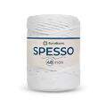 ER_spesso48_0001