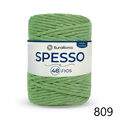 ER_spesso48_0809