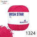 Pin_BrisaStar_23_1324