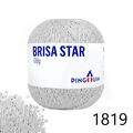 Pin_BrisaStar_23_1819