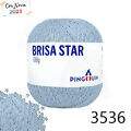 Pin_BrisaStar_23_3536