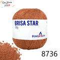 Pin_BrisaStar_23_8736