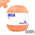 Pin_Brisa_100-23_0305