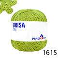 Pin_Brisa_100-23_1615