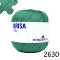 Pin_Brisa_100-23_2630