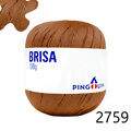 Pin_Brisa_100-23_2759