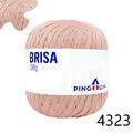 Pin_Brisa_100-23_4323