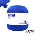 Pin_Brisa_100-23_4579