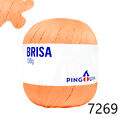 Pin_Brisa_100-23_7269