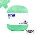 Pin_Brisa_100-23_9609