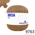 Pin_Brisa_100-23_9763