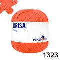 Pin_Brisa_100_1323