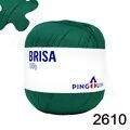 Pin_Brisa_100_2610