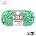 Cir_hobby160_5103_25