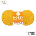 Cir_hobbyb_1703_25