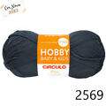 Cir_hobbyb_22_2569