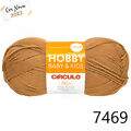 Cir_hobbyb_22_7469