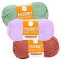 Cir_hobbyb_23_es2