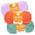 Cir_hobbyb_24_es2