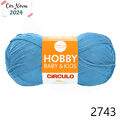 Cir_hobbyb_2743_24