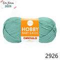 Cir_hobbyb_2926_24