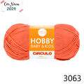 Cir_hobbyb_3063_24