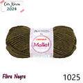 Cir_mollet40_1025