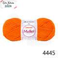Cir_mollet40_4445