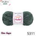 Cir_mollet40_5311