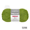 Cir_precioso_5098
