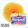 cir_prisma21_9589