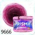 cir_prisma21_9666