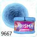 cir_prisma21_9667