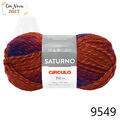 Cir_Saturno_9549_25