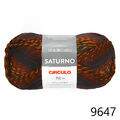 Cir_Saturno_9647