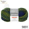 Cir_Saturno_9891_25