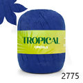Cir_Tropical_2775