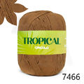 Cir_Tropical_7466